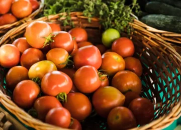 organic-red-tomato-wicker-basket-grocery-store-market